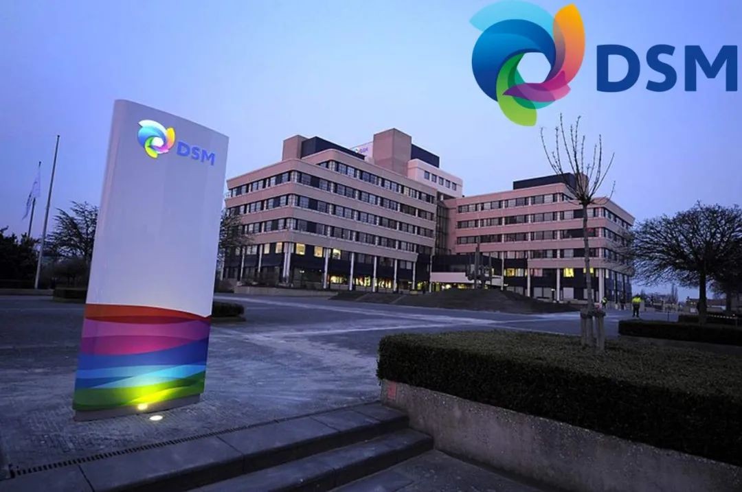 帝斯曼拟出售涂料树脂与功能材料业务给科思创